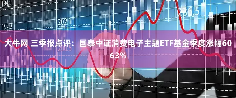 大牛网 三季报点评：国泰中证消费电子主题ETF基金季度涨幅6063%